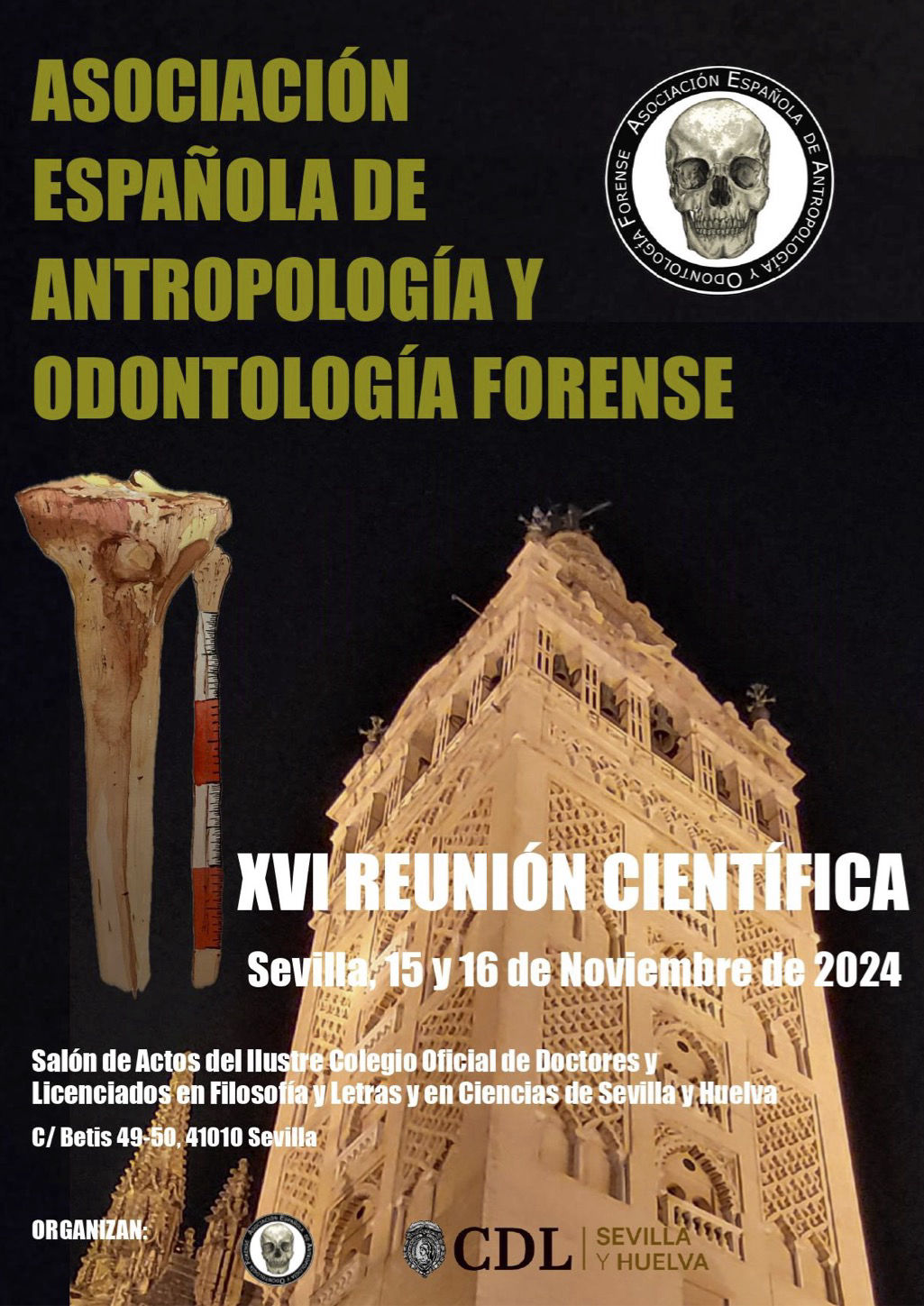 XVI Reunión Científica Sevilla 2024